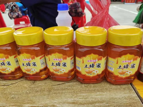 庆丰收感党恩 蕲春县农副产品展销会隆重开幕，优质土特产精彩亮相